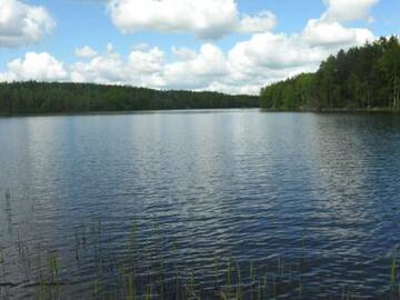 Фото номера Дом для отпуска Дома для отпуска Holiday Home Sarvsjö г. Takkula 14